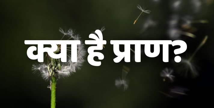 क्या है प्राण? जाने प्राण का सम्पूर्ण ज्ञान